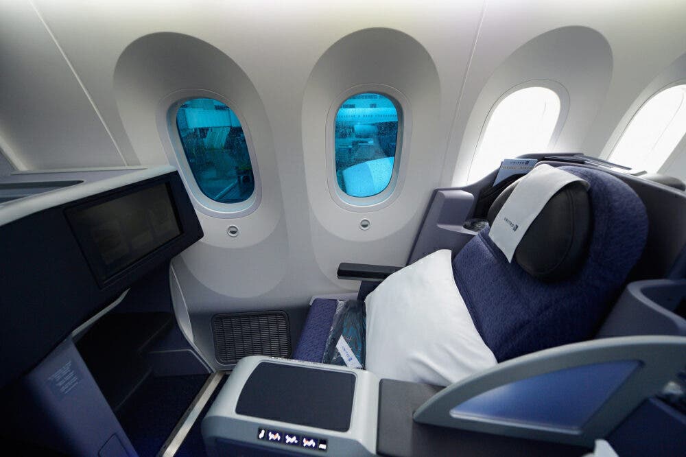 787 windows