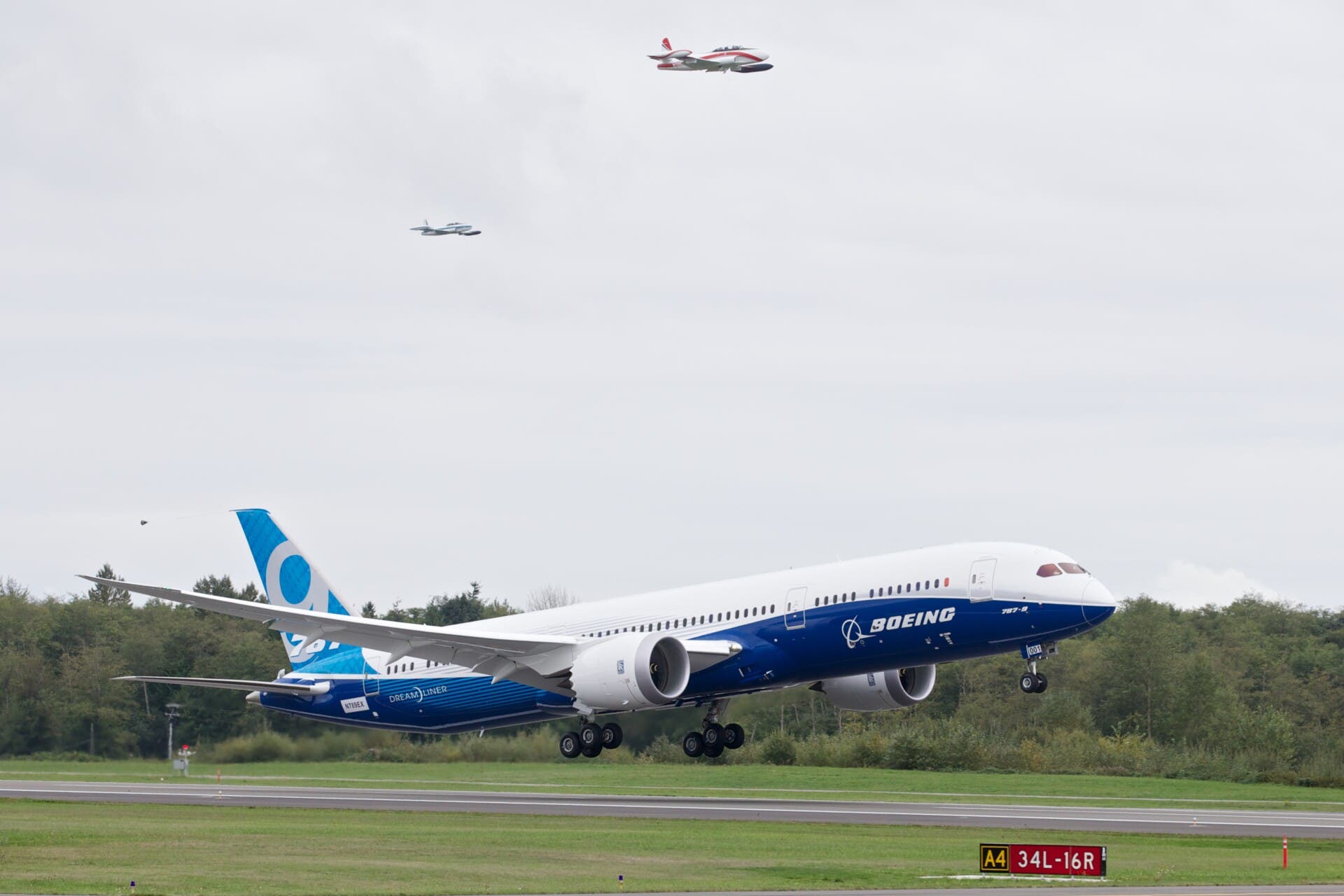 Air New Zealand, Boeing 787, Paint issue