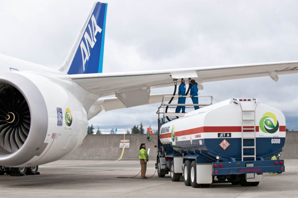 ANA 787 BioFueling on Boeing FlightlineK65630