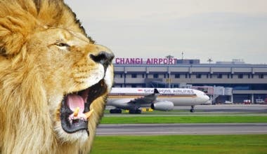 SIA at Changi with lion