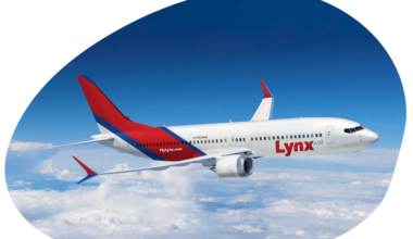 carousel-lynx-livery